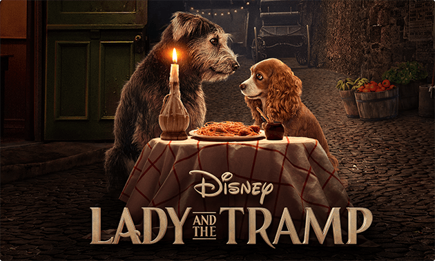 Lady and the tramp